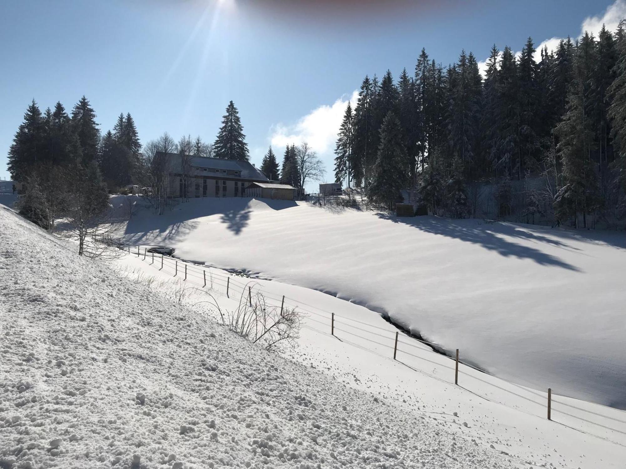 Waldhotel Auerhahn "Hochkopfhaus" Todtnau Zewnętrze zdjęcie