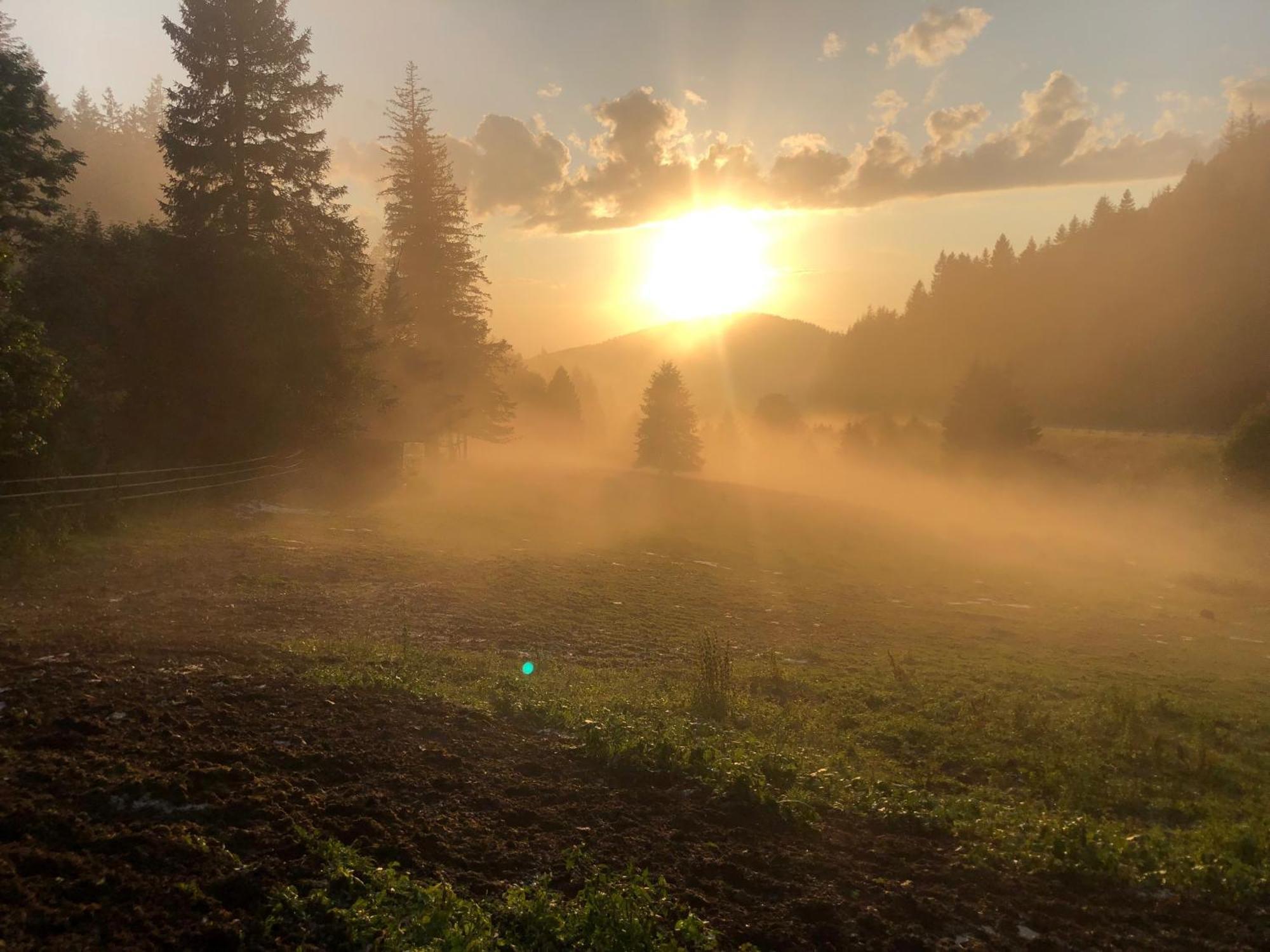 Waldhotel Auerhahn "Hochkopfhaus" Todtnau Zewnętrze zdjęcie