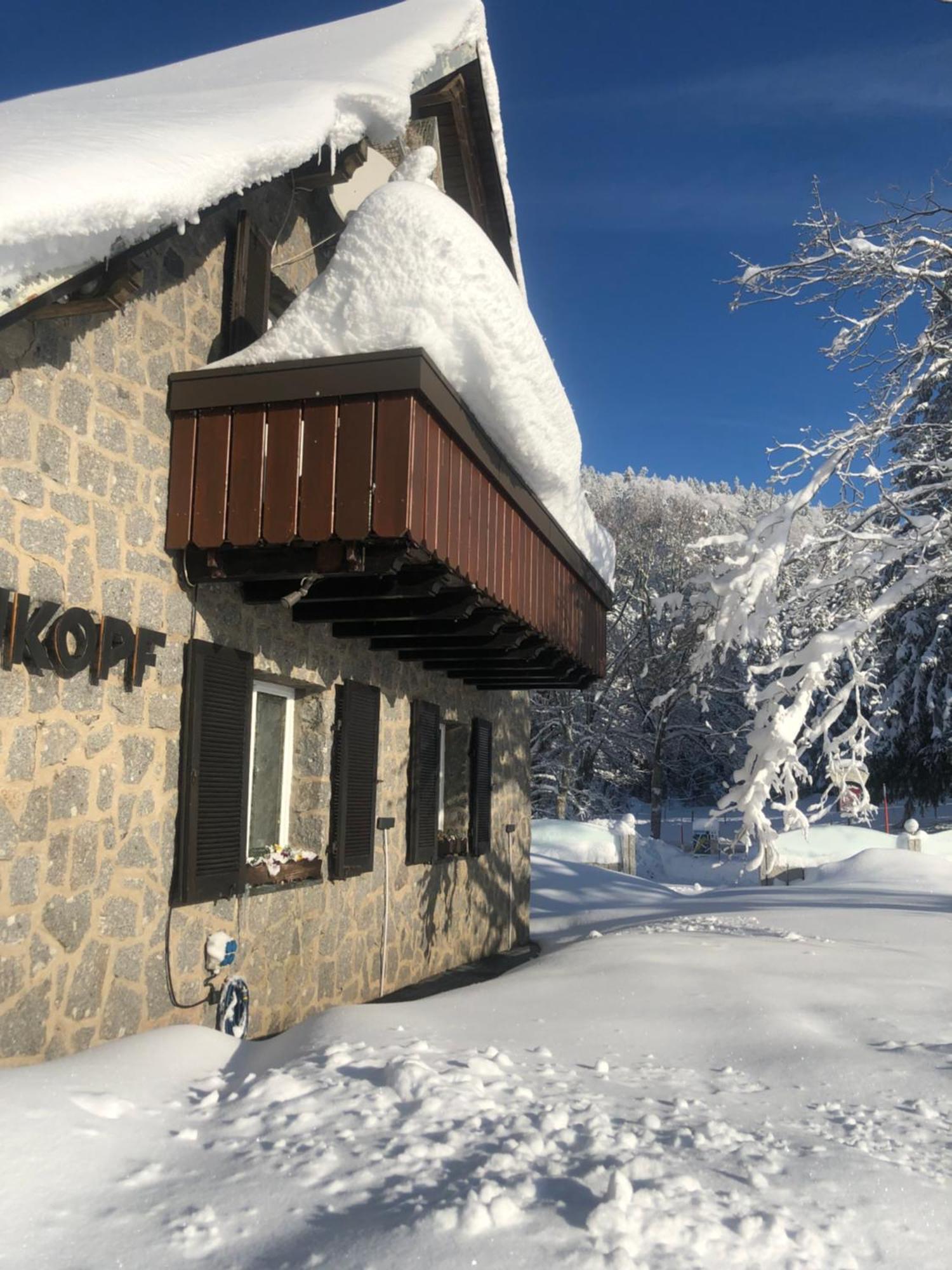 Waldhotel Auerhahn "Hochkopfhaus" Todtnau Zewnętrze zdjęcie